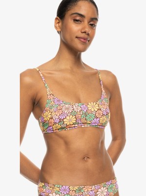 Roxy All About Sol Bralette Bikinioberteile | 14532-QZKM