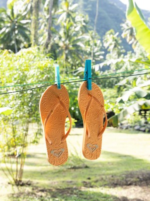 Roxy Antilles Flip Flops | 37108-ISDQ