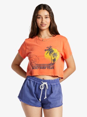 Roxy Retro Surf Team Ärmellose Muscle T-shirts | 23915-YMVL