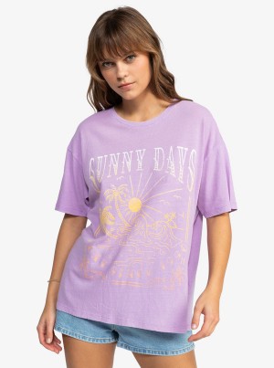 Roxy Sunny Days Oversized T-shirts | 32869-IFTH