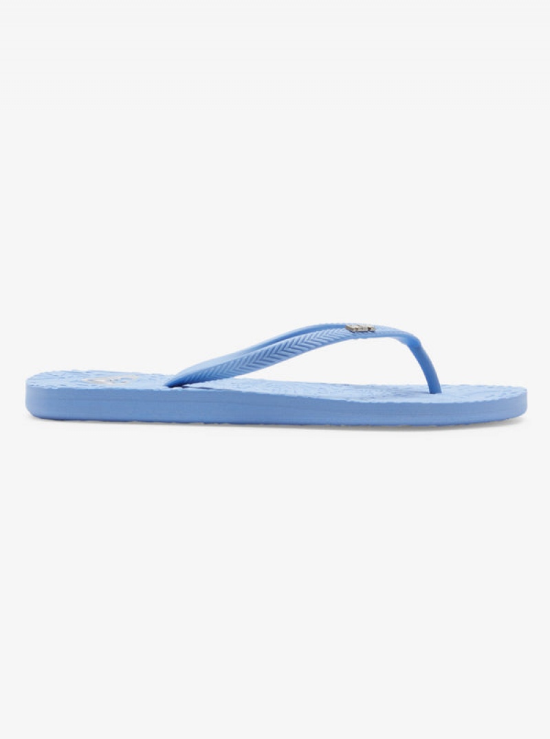 Roxy Antilles Flip Flops | 27489-MITK