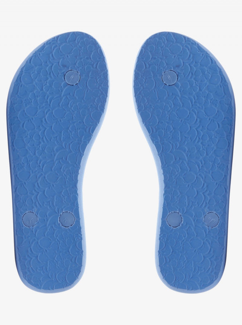 Roxy Antilles Flip Flops | 27489-MITK