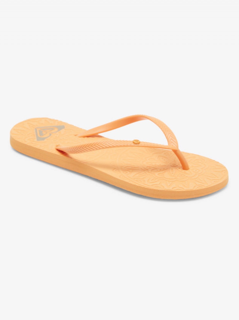 Roxy Antilles Flip Flops | 37108-ISDQ