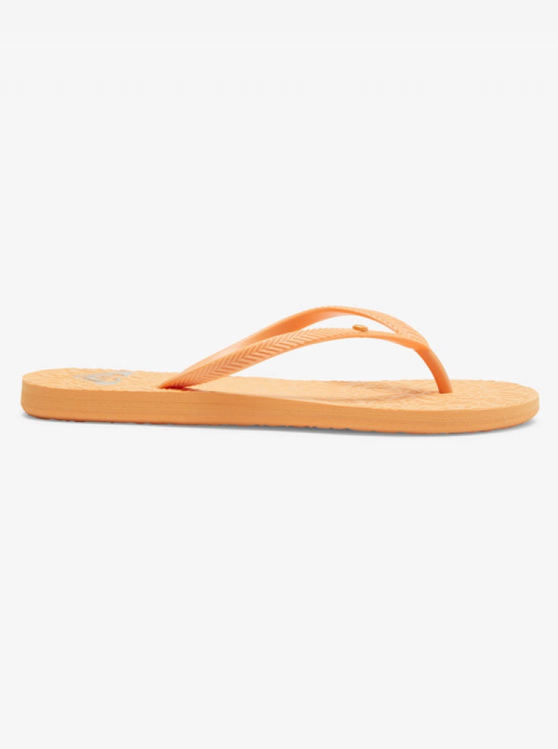 Roxy Antilles Flip Flops | 37108-ISDQ