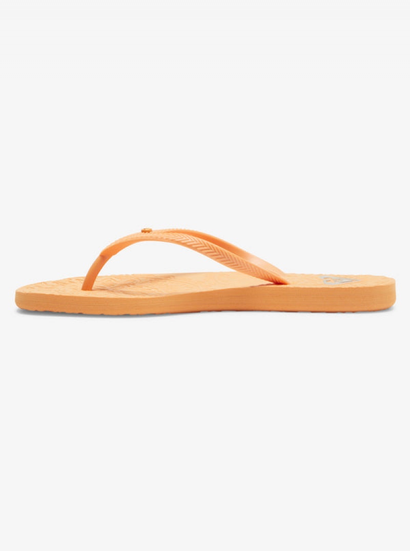 Roxy Antilles Flip Flops | 37108-ISDQ