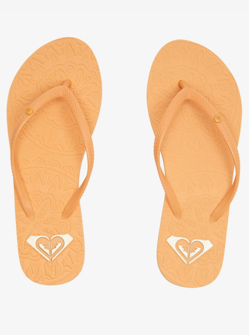 Roxy Antilles Flip Flops | 37108-ISDQ