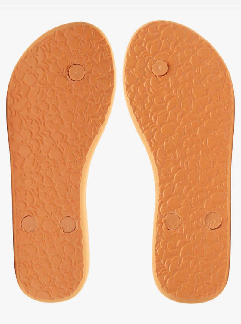 Roxy Antilles Flip Flops | 37108-ISDQ