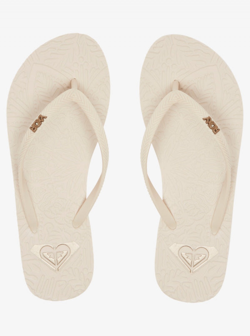 Roxy Antilles Flip Flops | 40381-XBDL