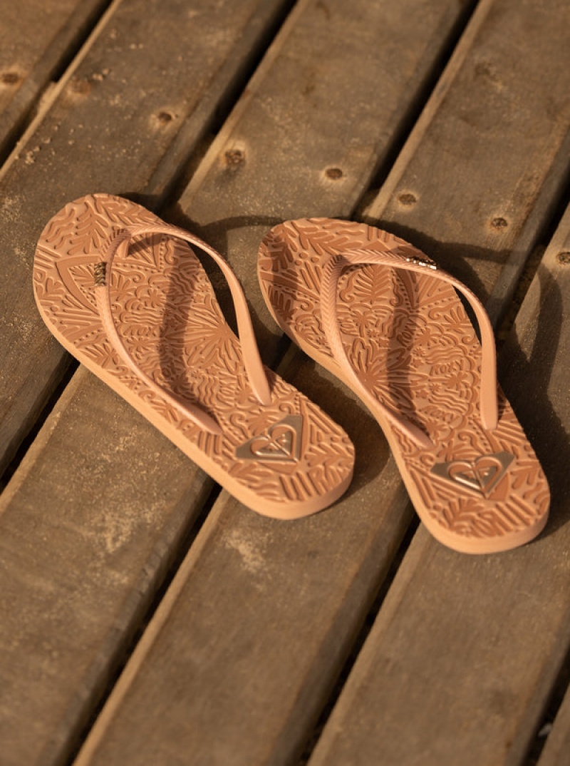 Roxy Antilles Flip Flops | 71560-QDXW