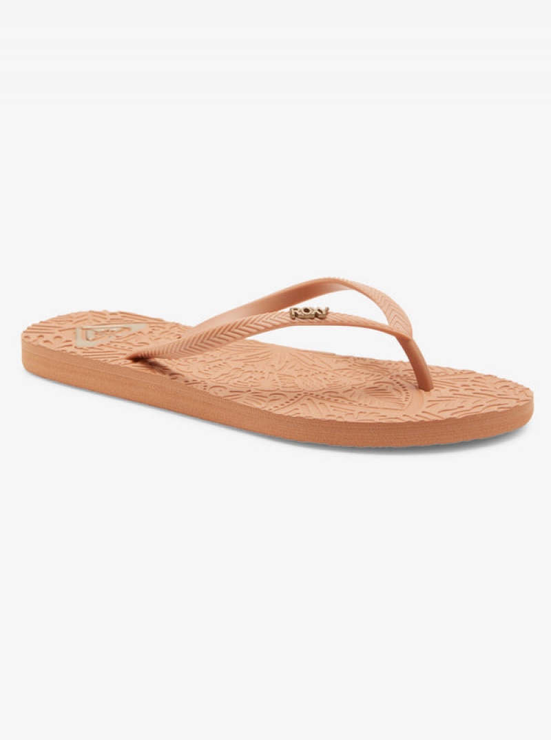 Roxy Antilles Flip Flops | 71560-QDXW