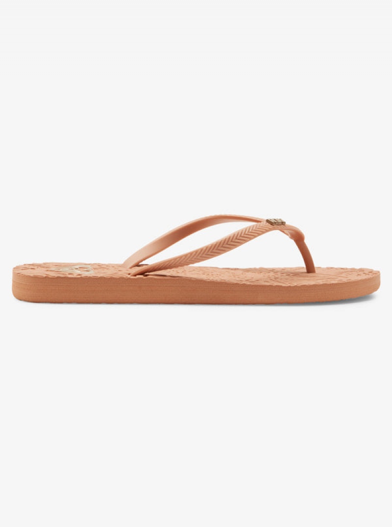 Roxy Antilles Flip Flops | 71560-QDXW