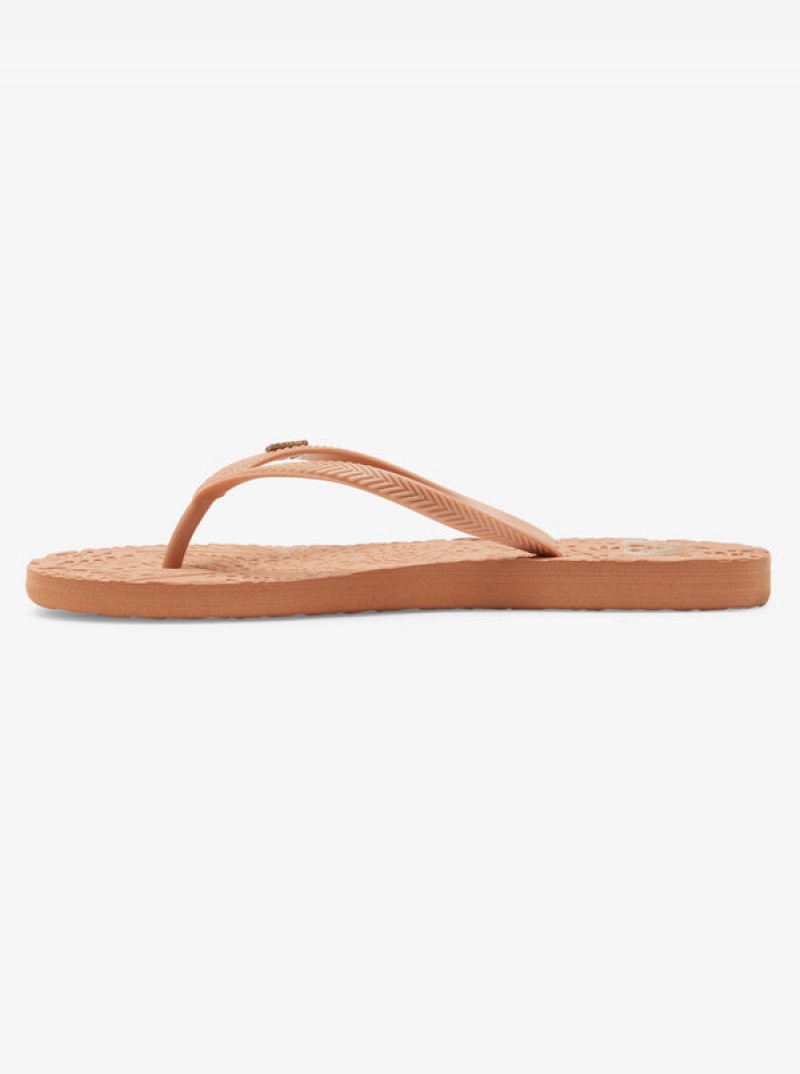 Roxy Antilles Flip Flops | 71560-QDXW