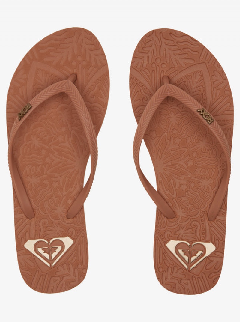 Roxy Antilles Flip Flops | 71560-QDXW