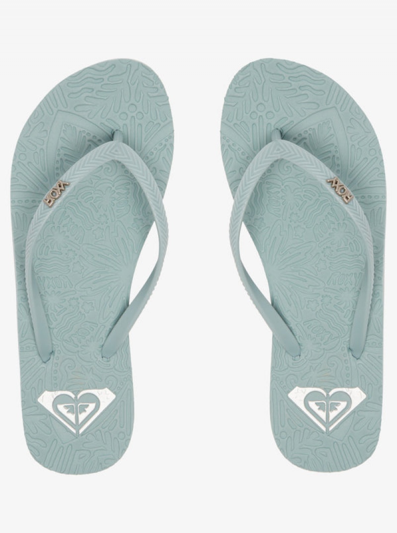 Roxy Antilles Flip Flops | 82047-PLGR