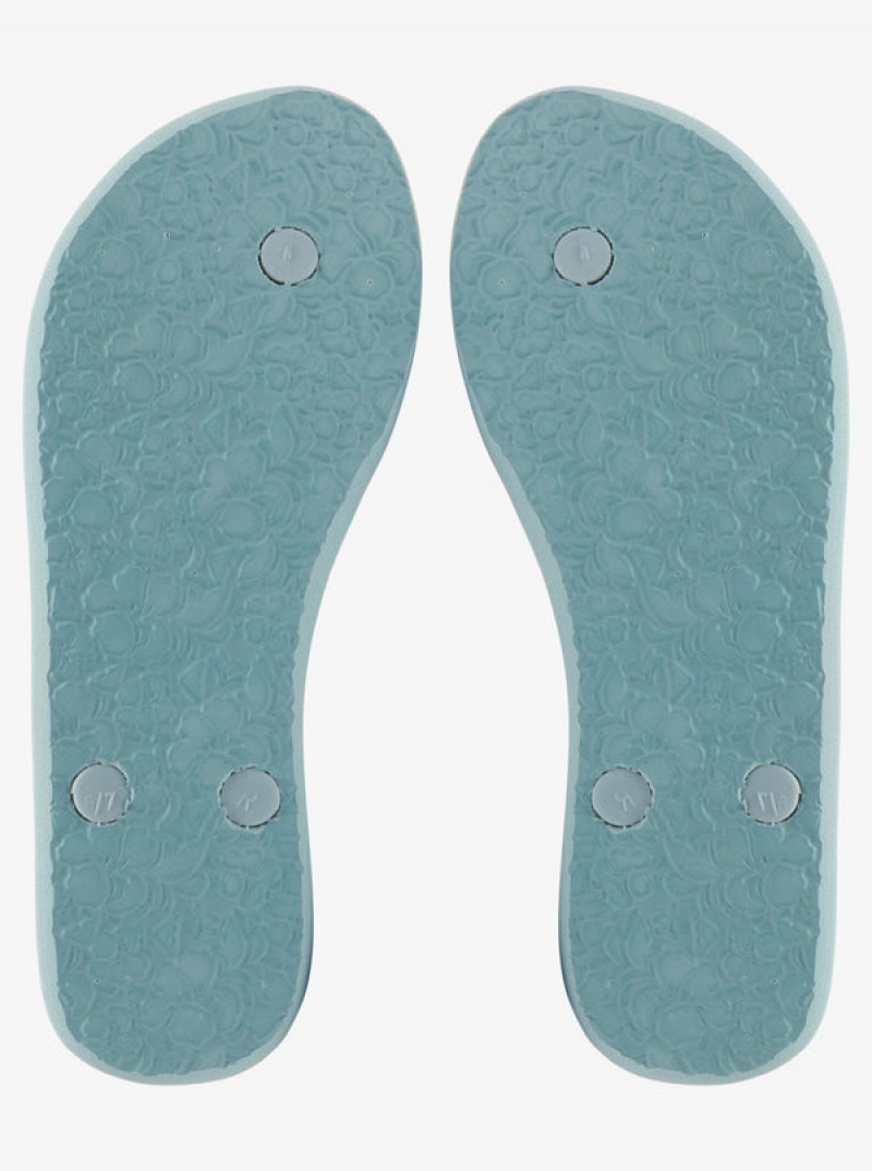 Roxy Antilles Flip Flops | 82047-PLGR