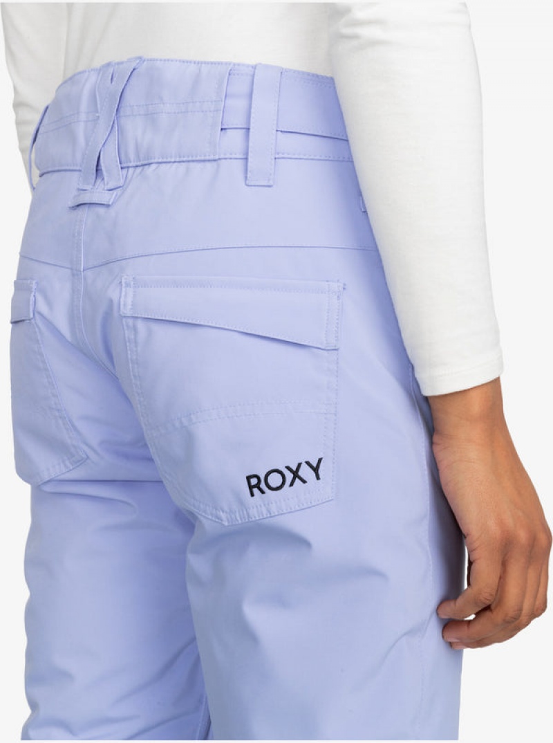 Roxy Backyard Technical Snowboardhosen | 01729-HOFS