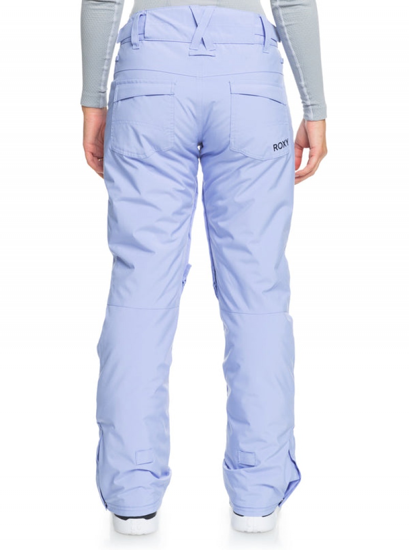 Roxy Backyard Technical Snowboardhosen | 01729-HOFS