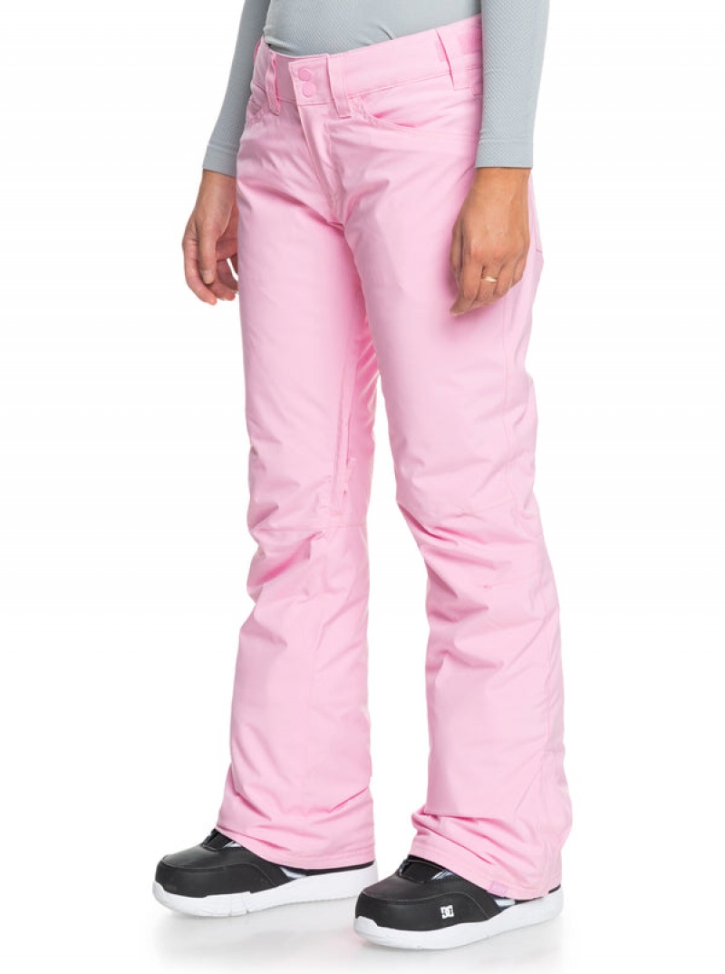 Roxy Backyard Technical Snowboardhosen | 41509-EVYU