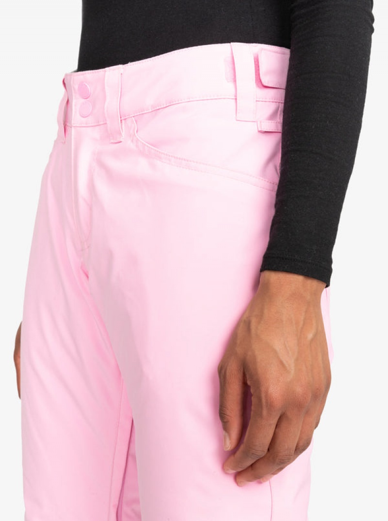 Roxy Backyard Technical Snowboardhosen | 41509-EVYU