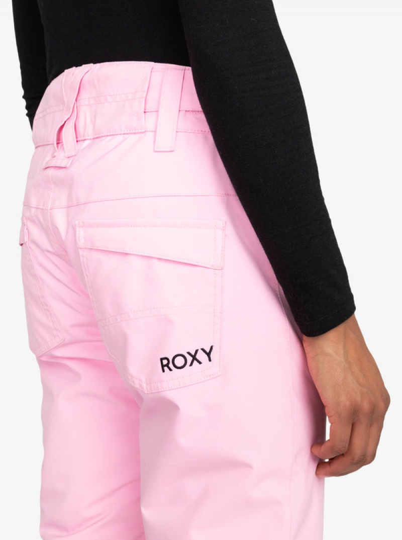 Roxy Backyard Technical Snowboardhosen | 41509-EVYU