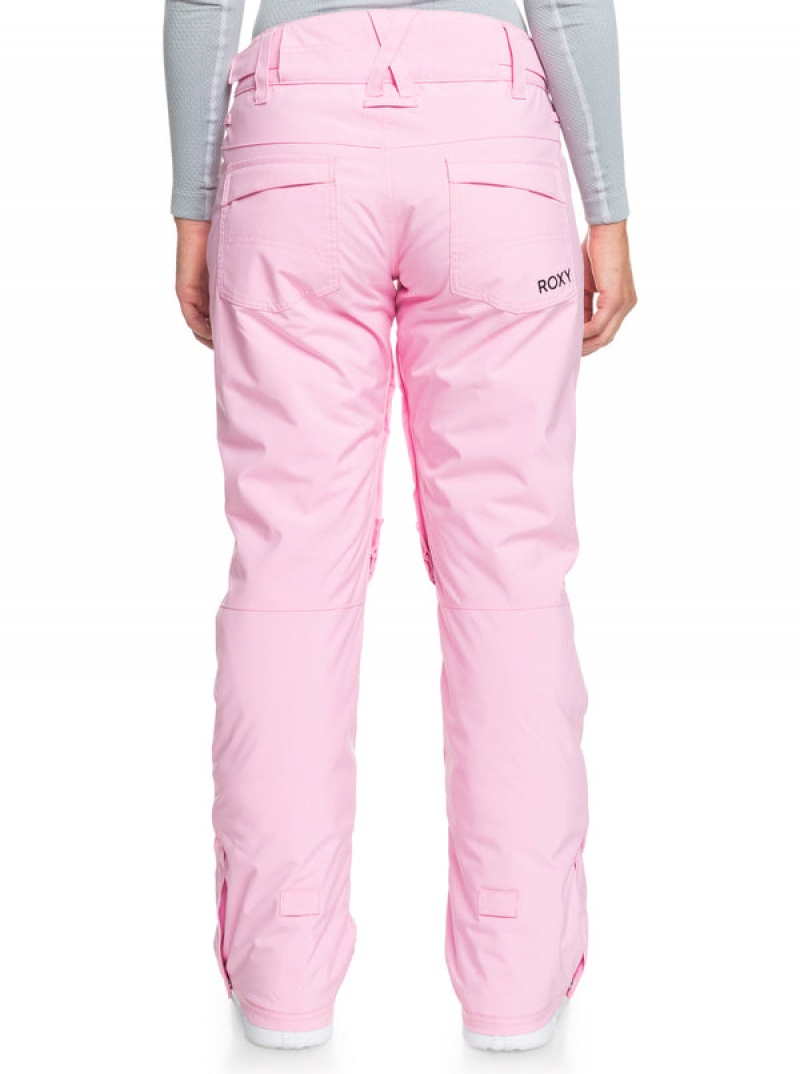 Roxy Backyard Technical Snowboardhosen | 41509-EVYU