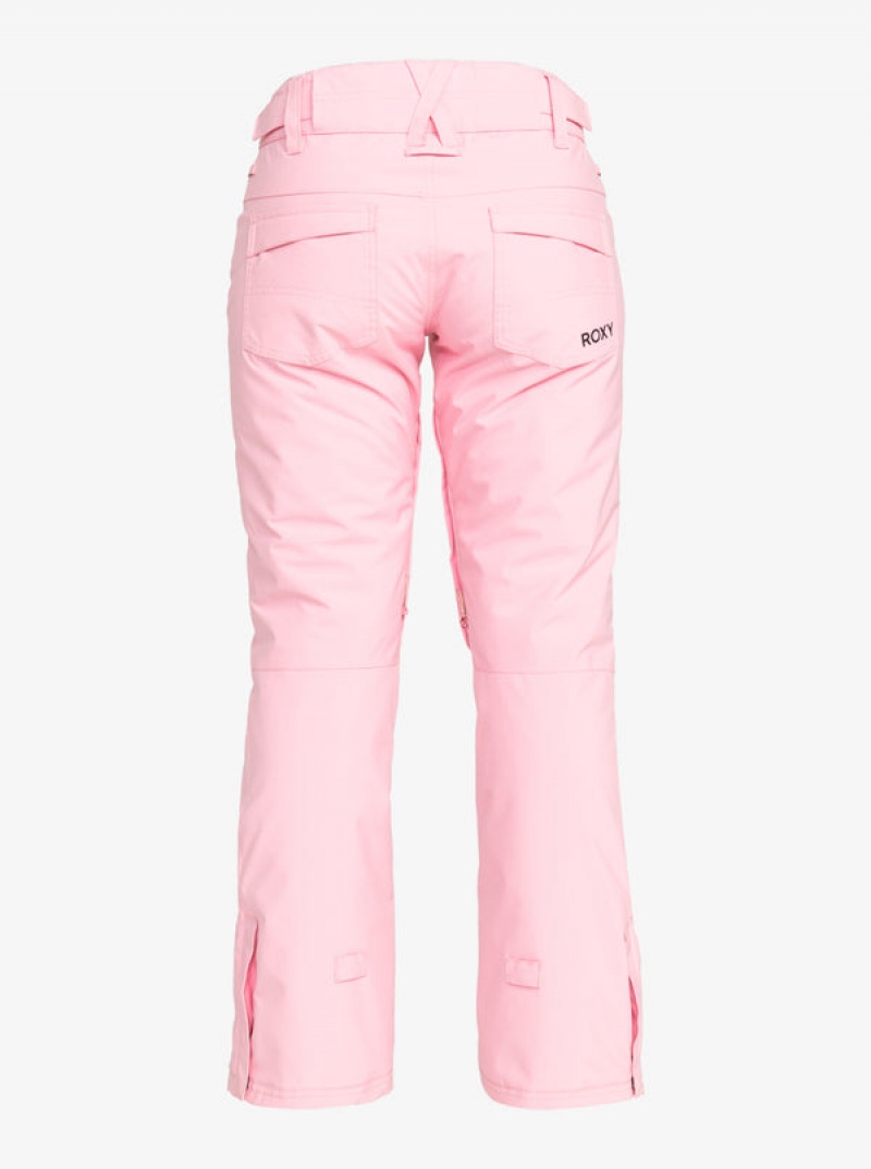 Roxy Backyard Technical Snowboardhosen | 41509-EVYU