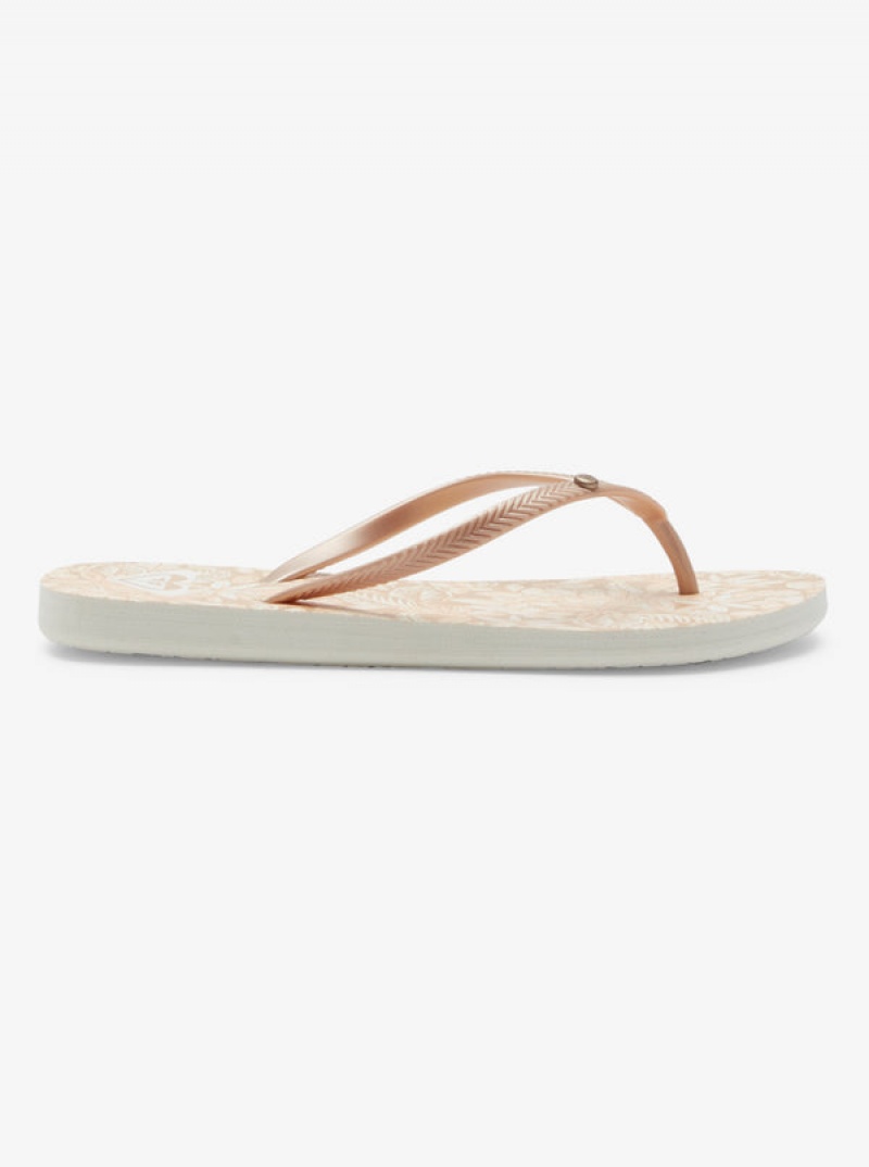 Roxy Bermuda Sandalen | 53940-DZPQ