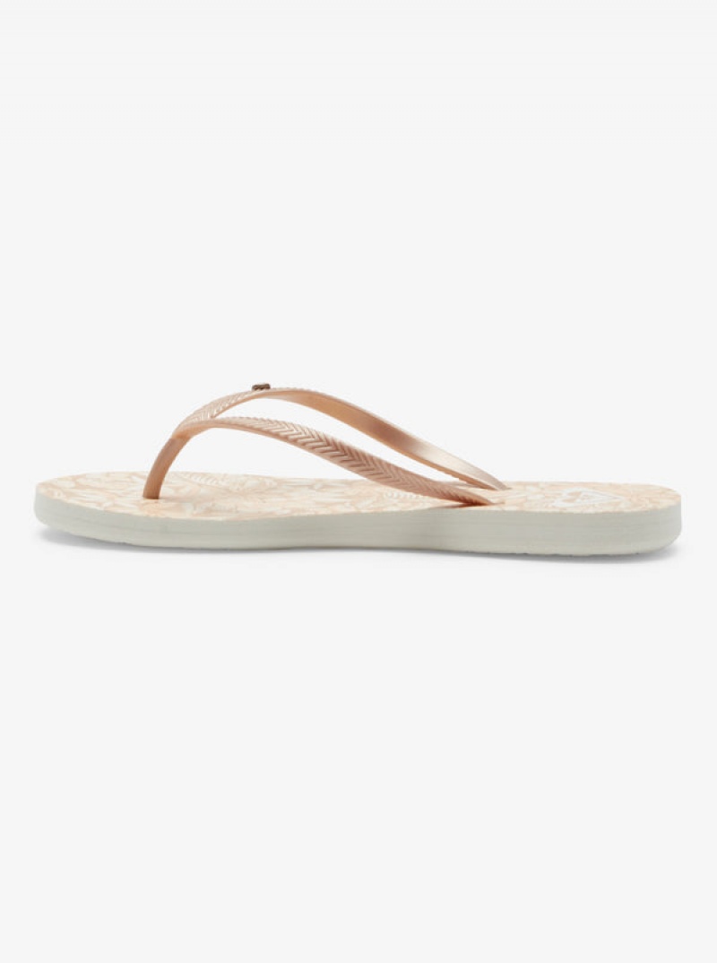 Roxy Bermuda Sandalen | 53940-DZPQ