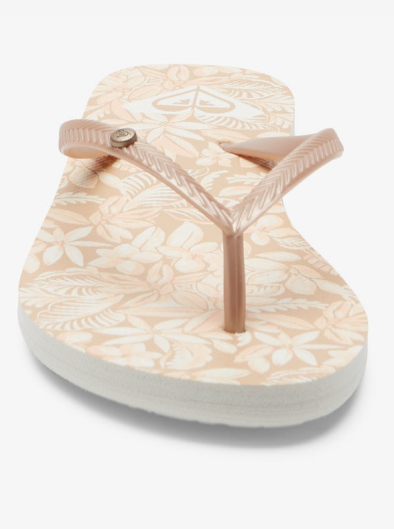 Roxy Bermuda Sandalen | 53940-DZPQ