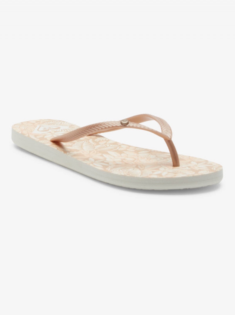 Roxy Bermuda Sandalen | 53940-DZPQ