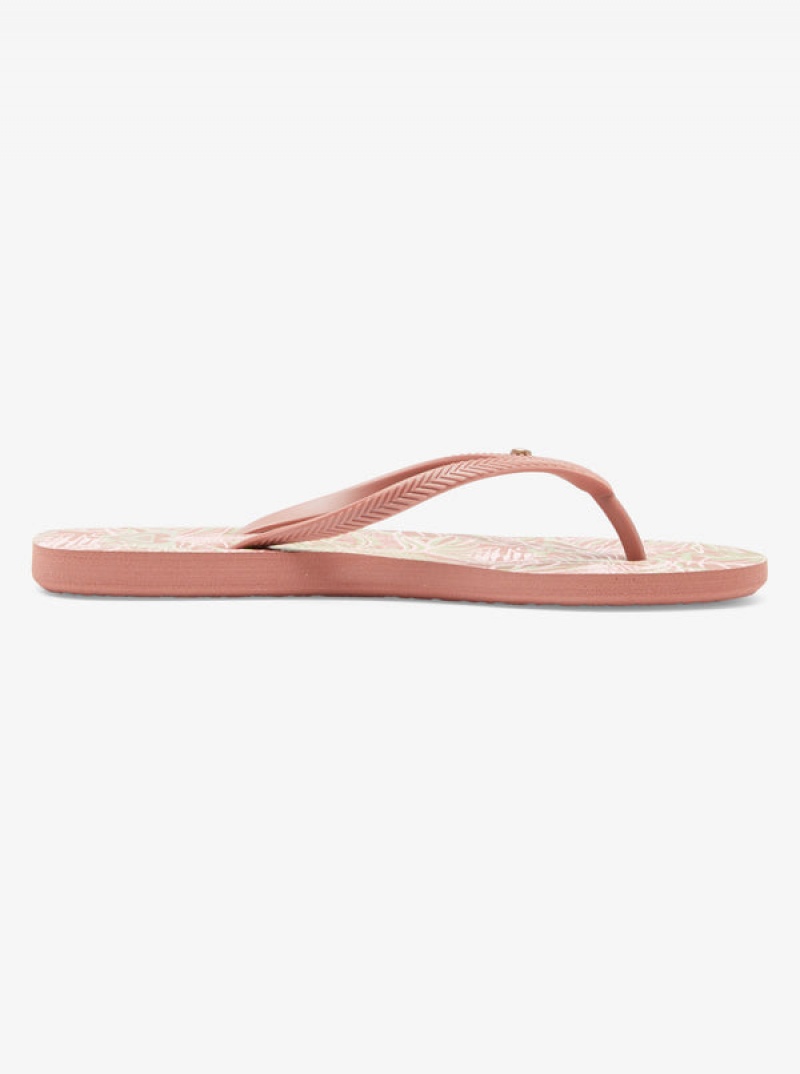 Roxy Bermuda Sandalen | 76901-FKEQ