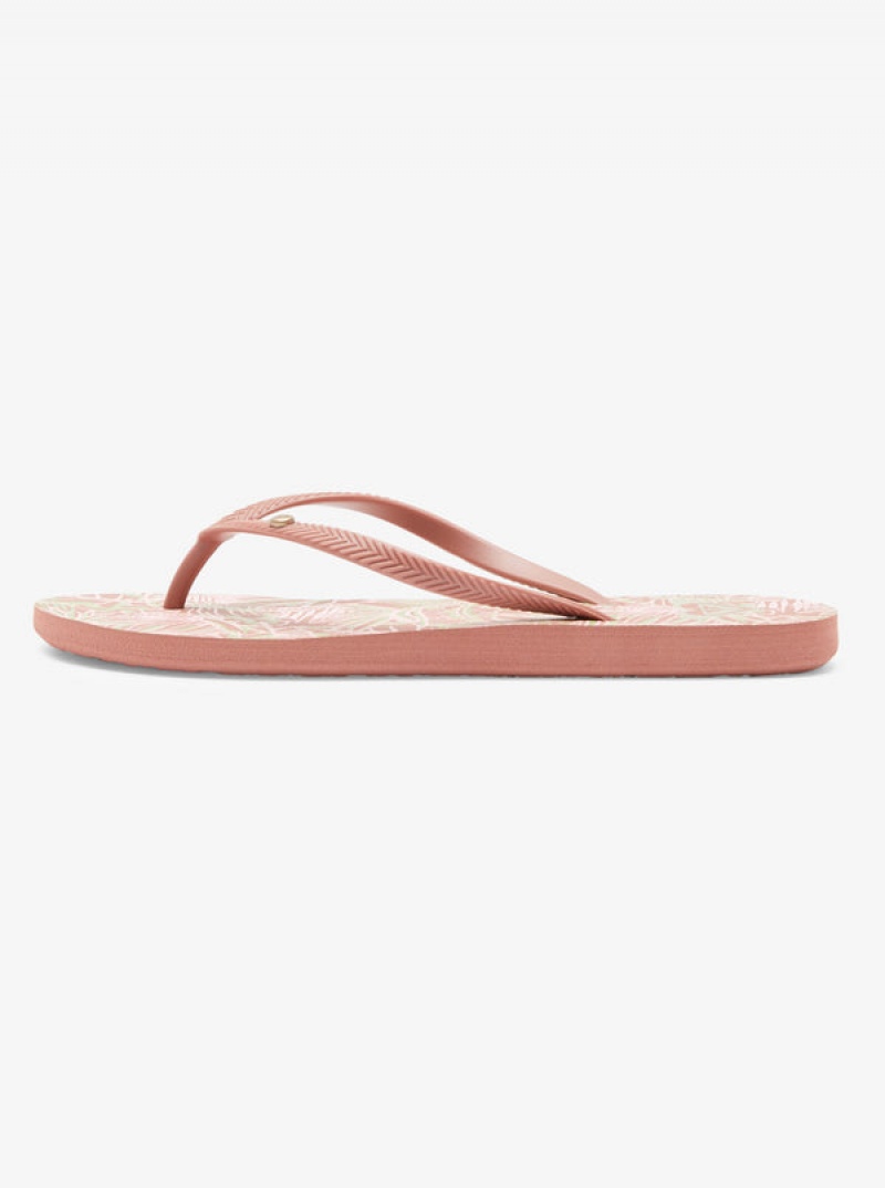 Roxy Bermuda Sandalen | 76901-FKEQ