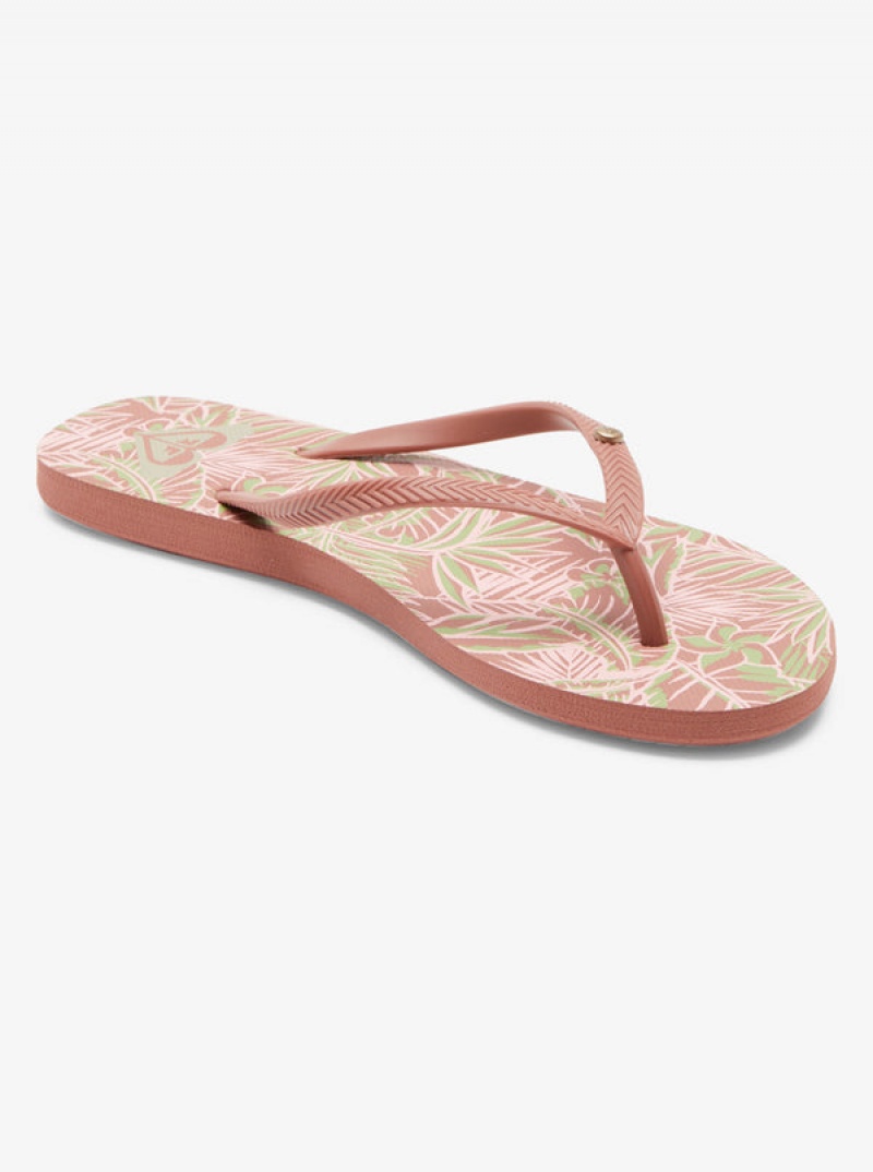 Roxy Bermuda Sandalen | 76901-FKEQ