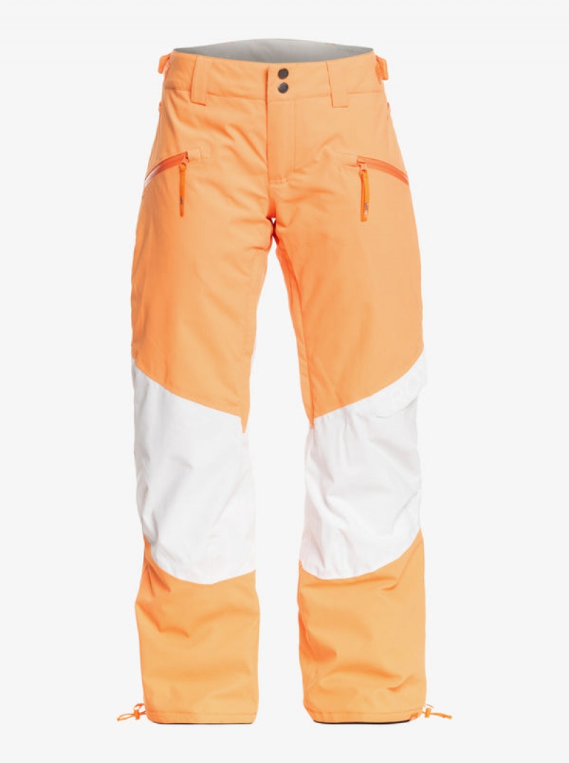 Roxy Chloe Kim Woodrose Technical Snowboardhosen | 58436-EPBI