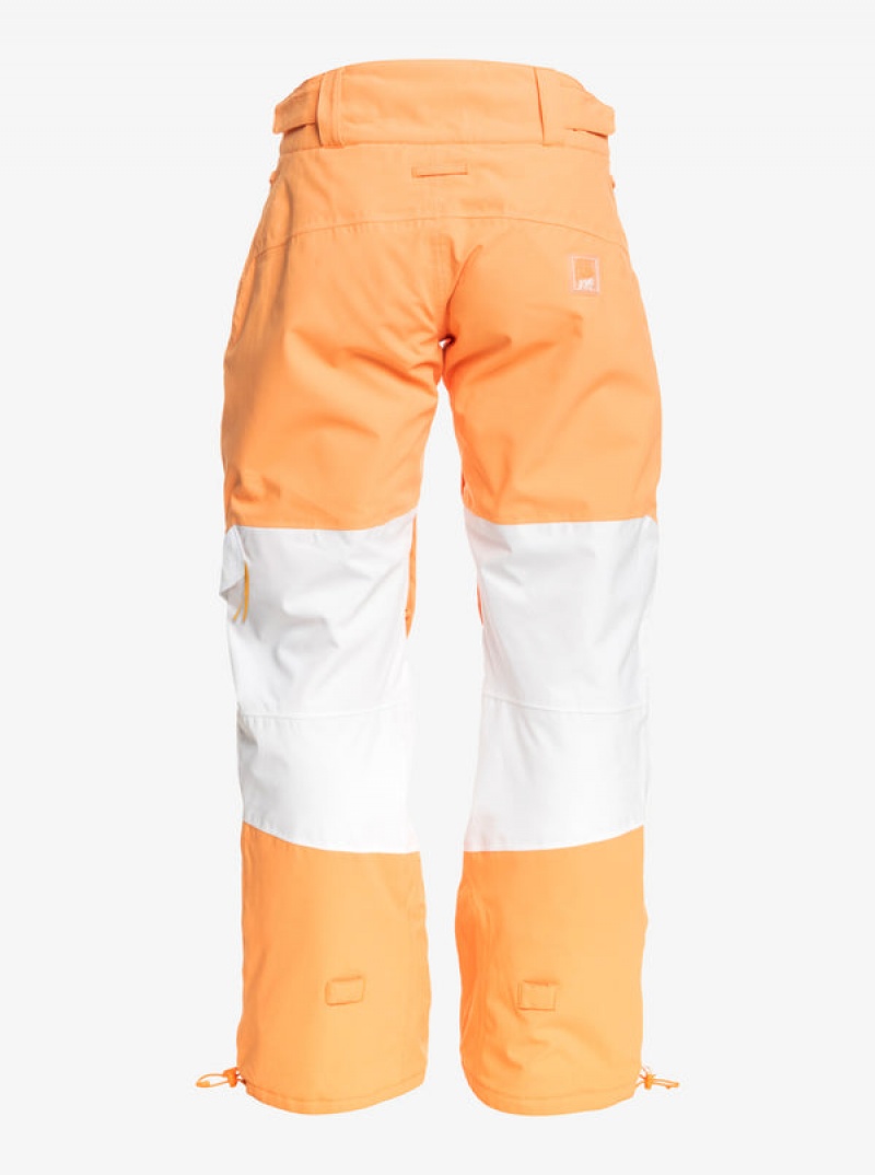 Roxy Chloe Kim Woodrose Technical Snowboardhosen | 58436-EPBI