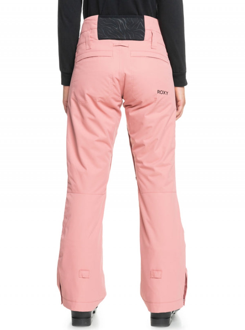 Roxy Diversion Technical Snowboardhosen | 39214-LUON