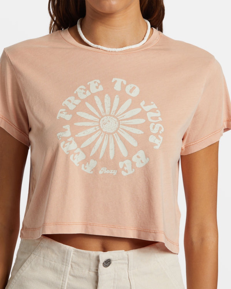 Roxy Feel Free Cropped T-shirts | 08542-QRXT