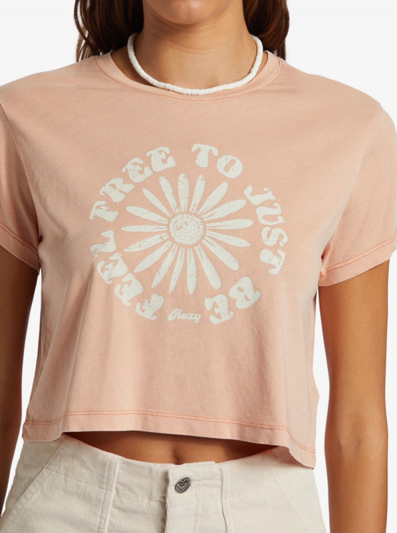 Roxy Feel Free Cropped T-shirts | 08542-QRXT