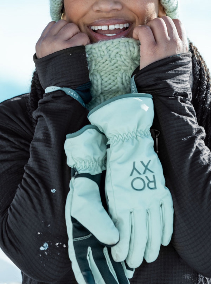 Roxy Freshfield Technicalboard/Ski Handschuhe | 91376-SRDT