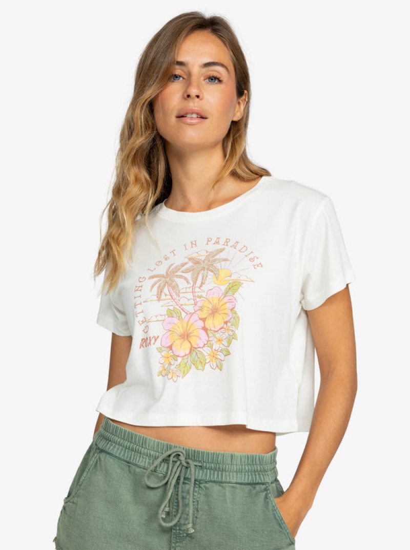 Roxy Hibiscus Paradise Cropped T-shirts | 78065-FAGI