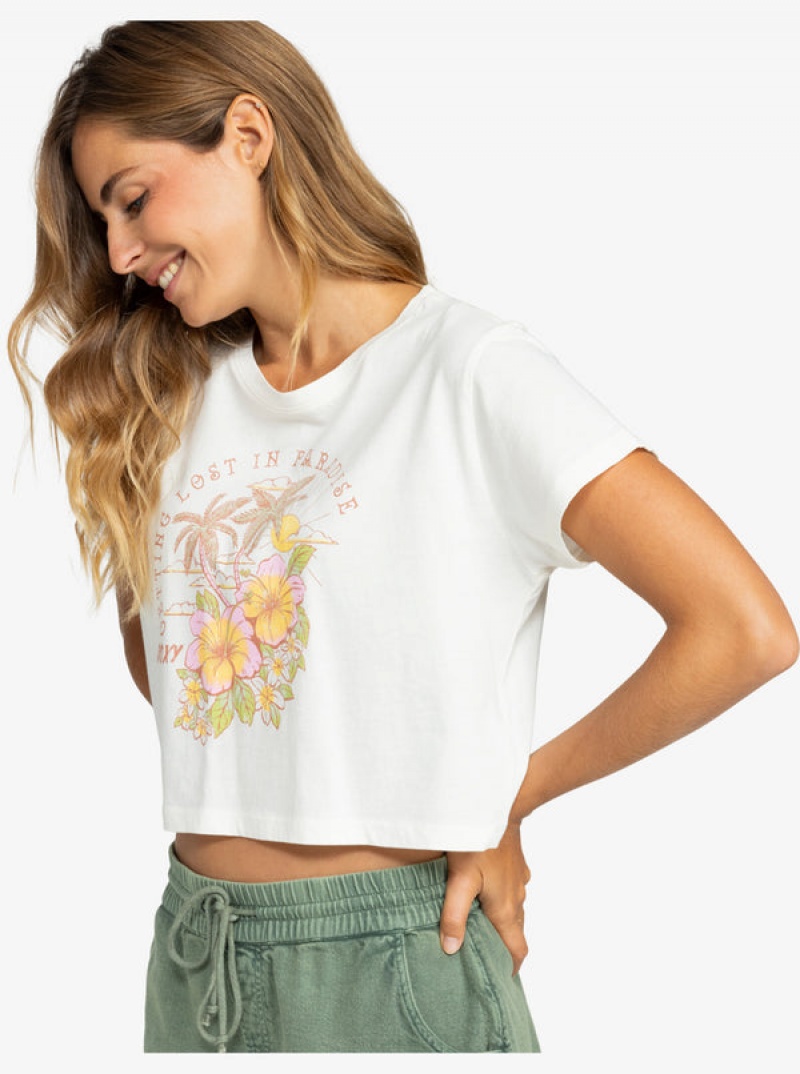 Roxy Hibiscus Paradise Cropped T-shirts | 78065-FAGI