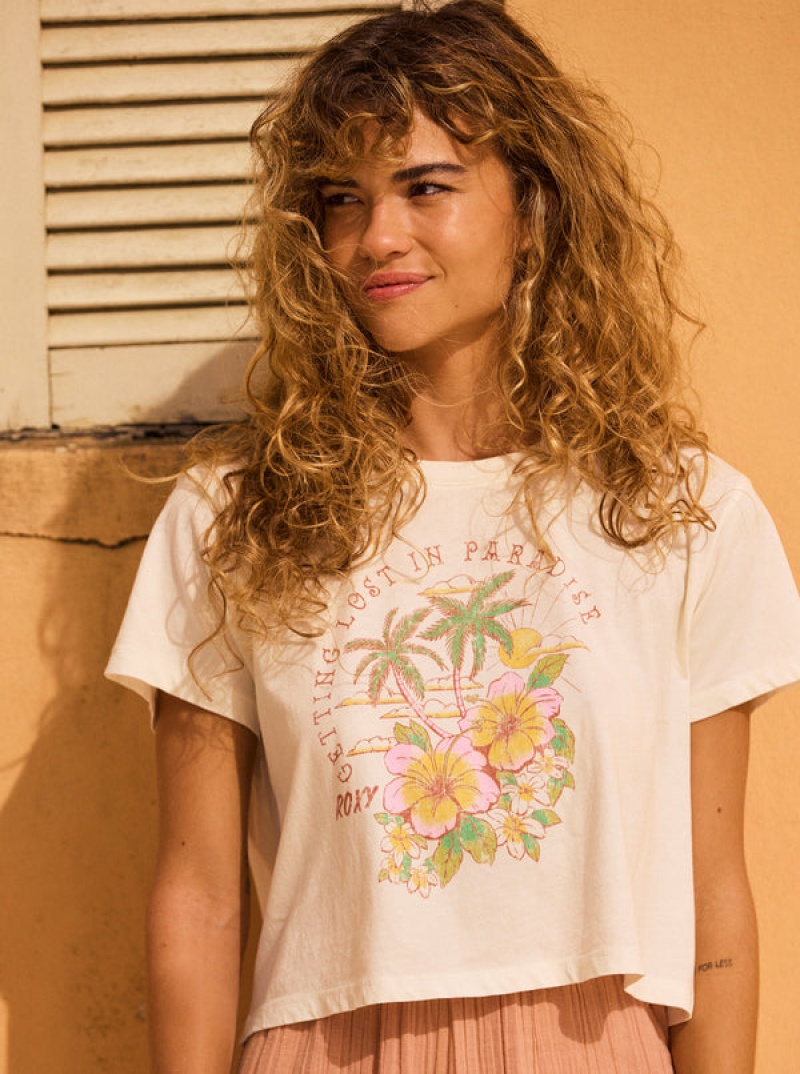 Roxy Hibiscus Paradise Cropped T-shirts | 78065-FAGI