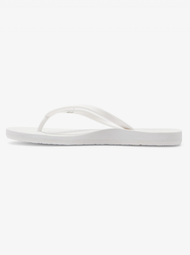 Roxy Jettie Flip Flops | 45163-PNVU