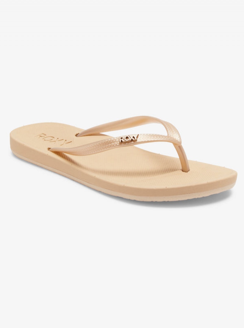 Roxy Jettie Flip Flops | 51362-NPSX