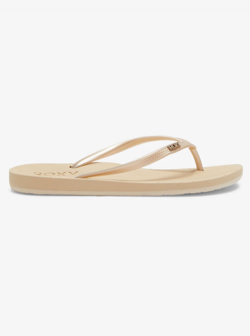 Roxy Jettie Flip Flops | 51362-NPSX