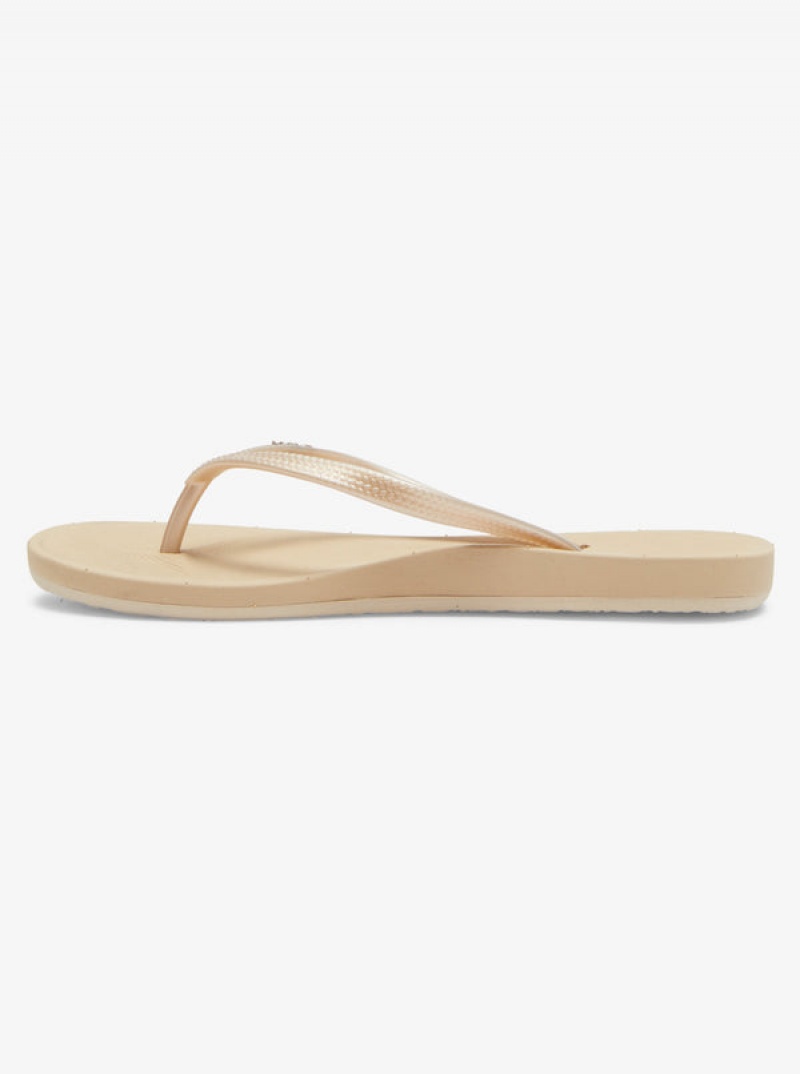 Roxy Jettie Flip Flops | 51362-NPSX