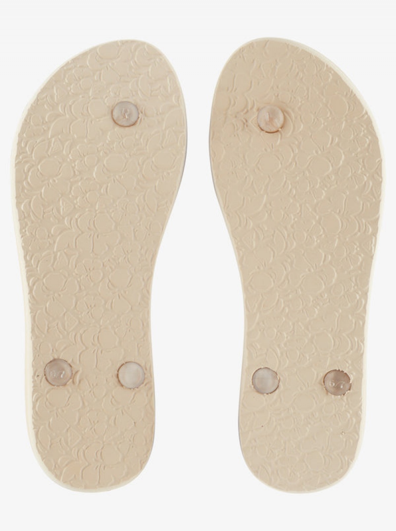 Roxy Jettie Flip Flops | 51362-NPSX