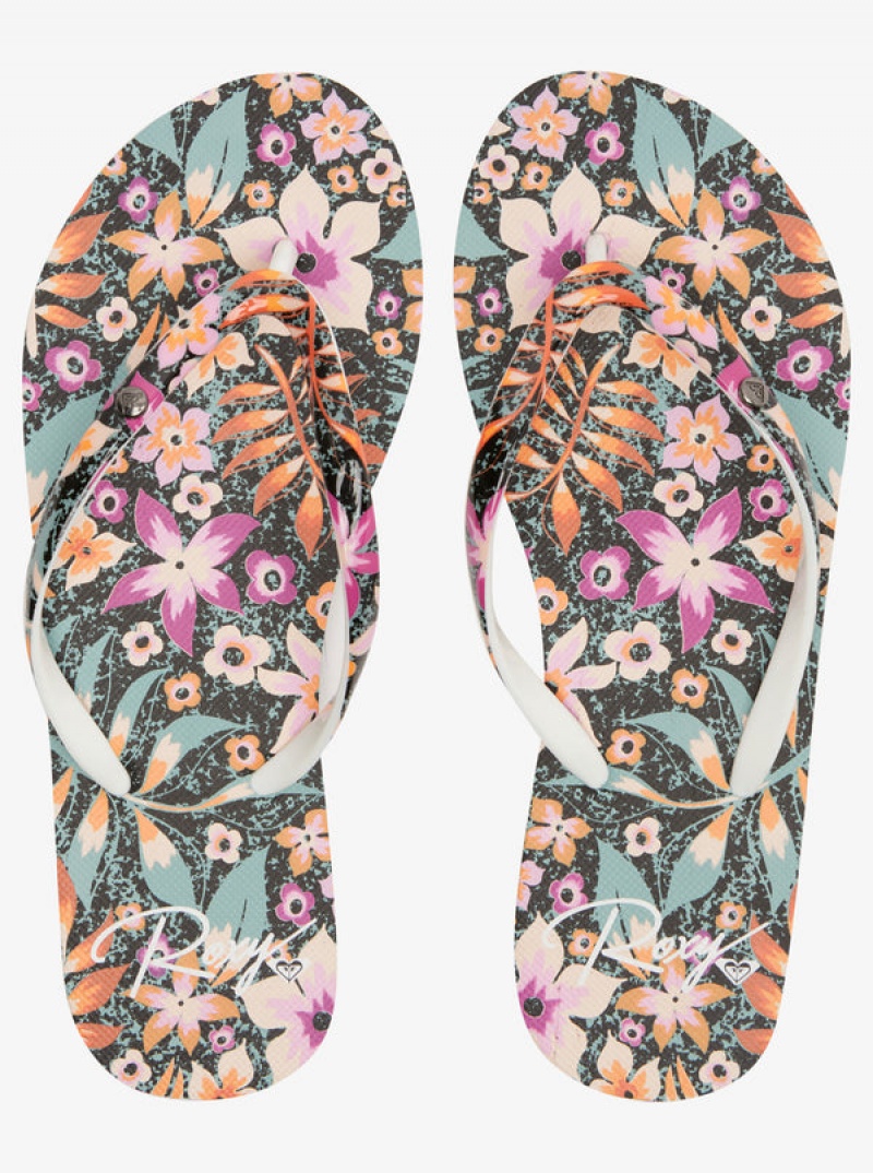 Roxy Portofino Flip Flops | 84253-POQI