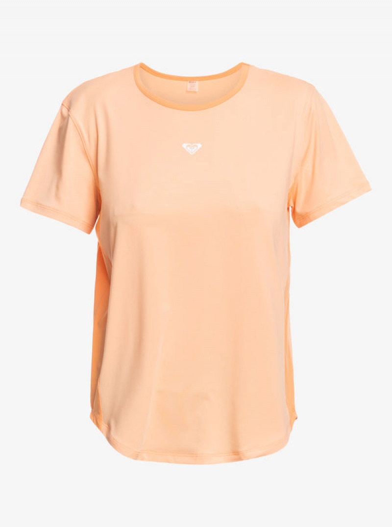 Roxy Pure Pursuit Mesh Tee Knit T-shirts | 10768-RCVL