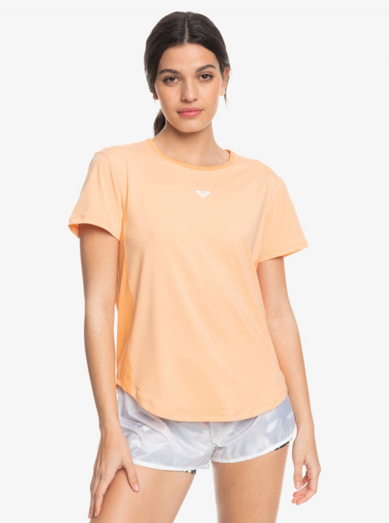 Roxy Pure Pursuit Mesh Tee Knit T-shirts | 10768-RCVL